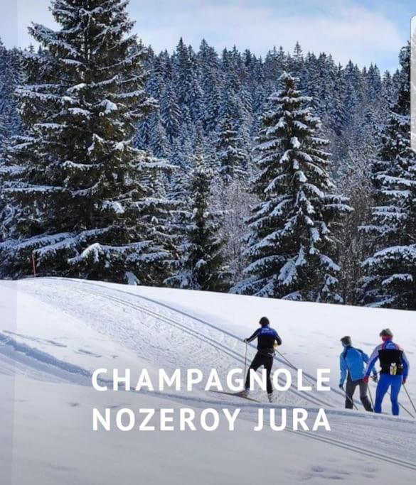 Gite Jura Mina Chalet Au Milieu De La Nature Βίλα Ney Εξωτερικό φωτογραφία